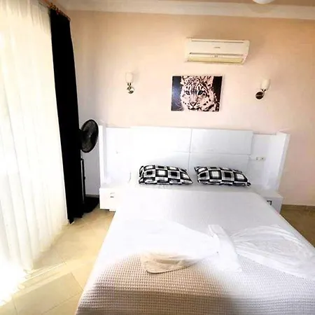 Villa “the Ultimate Guide To Renting This Luxury Villa”-villa Elysium *